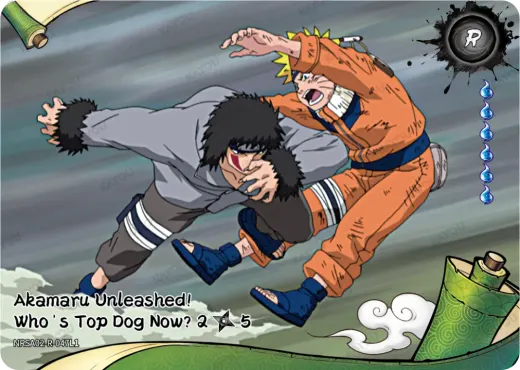 Akamaru Unleashed! Who's Top Dog Now? 2/5